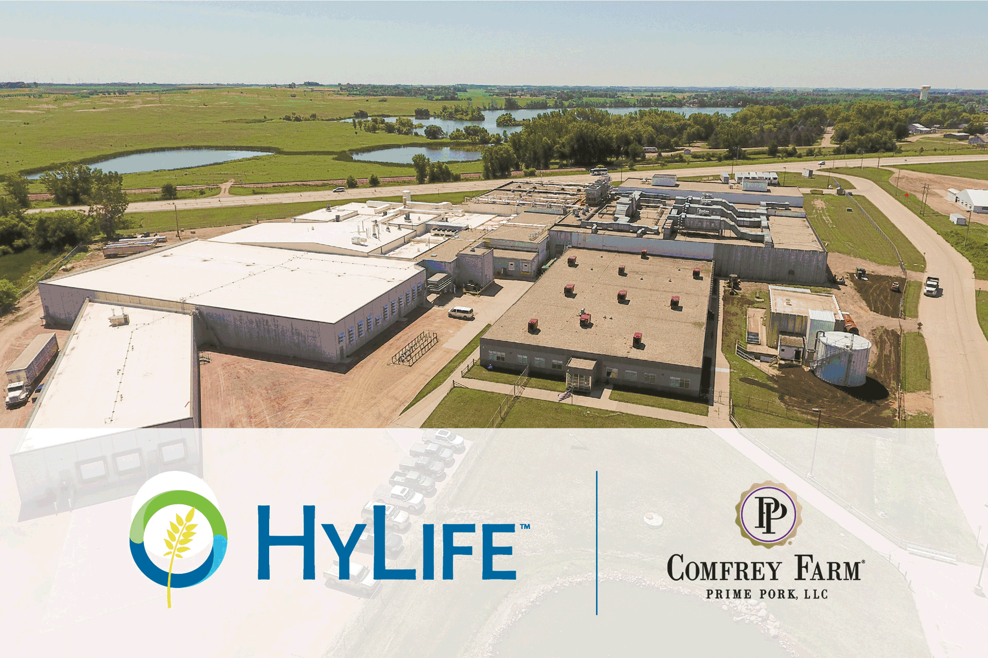 Pork priority: How CP Foods’ acquisition drive will help conquer North American and Asian markets – Chairman Exclusive Part I